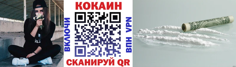 где можно купить наркотик  Железногорск  Cocaine Эквадор 