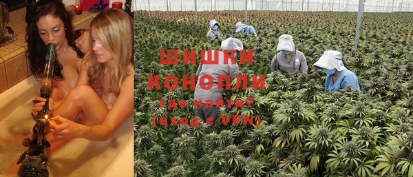 PSILOCYBIN Лагань