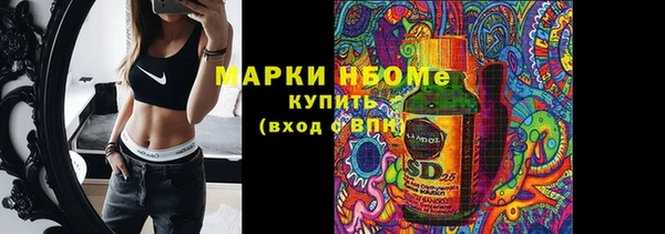 стаф Лабытнанги