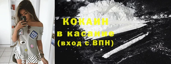 PSILOCYBIN Лагань