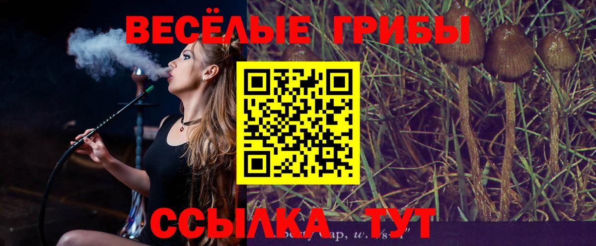 ЭКСТАЗИ  Меф  ГАШ  Вход с VPN  Железногорск  COCAIN  Меф МЯУ МЯУ кристаллы  Каннабис  ГАШИШ 