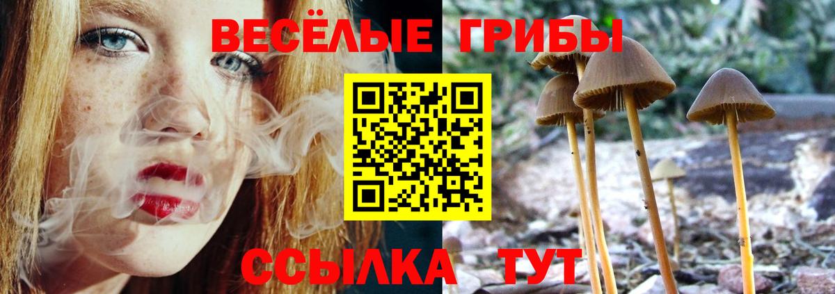 Псилоцибиновые грибы Psilocybine cubensis  дарнет шоп  Железногорск  Вход с VPN 